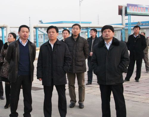 滨州市招商局领导来我公司调研