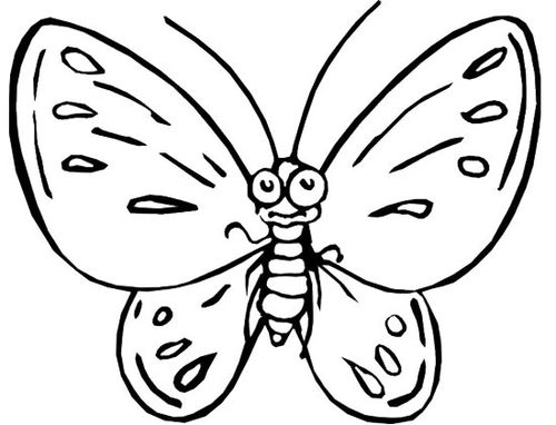 一只可爱的的蝴蝶儿童简笔画图片