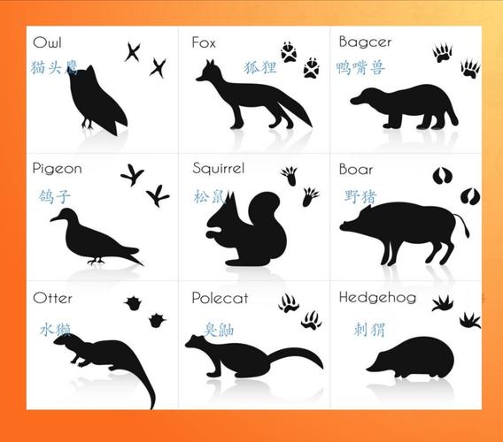 官渡区幼儿园魅力校区大五班——《动物城破案》