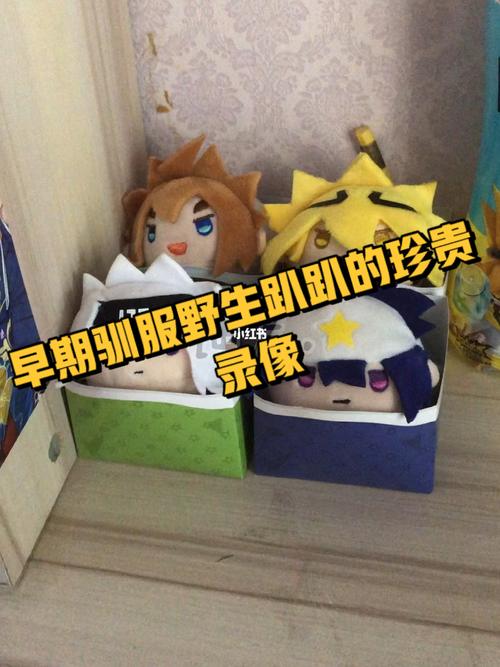 早期凹凸粉驯服野生趴趴的珍贵录像_凹凸世界_兴趣爱好_玩具