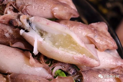 只只鱿鱼筒里面都充满肥美鱿鱼膏