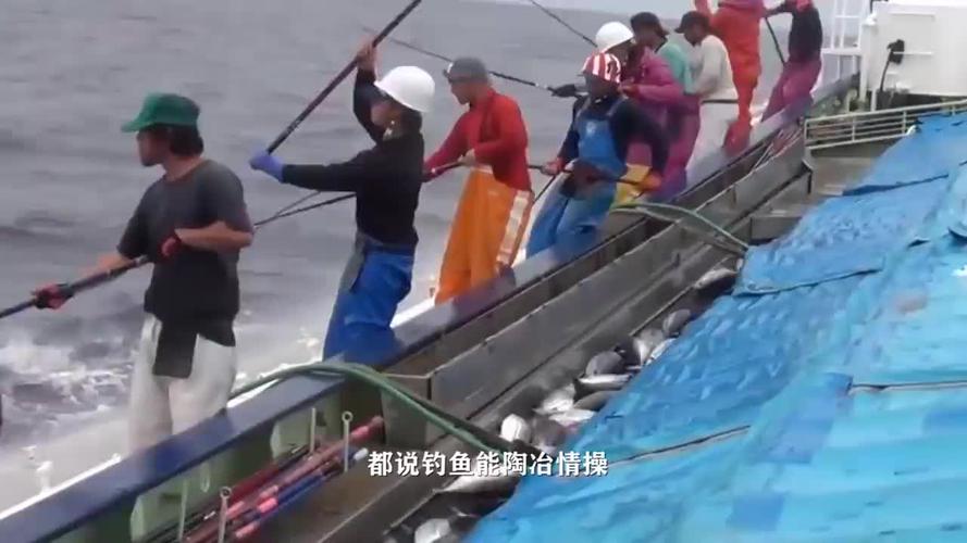 渔民人手一把鱼叉,见鱼就往水里插,简直拿命在捕鱼