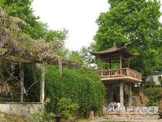 limodou采集到多图_岳麓山-万景园