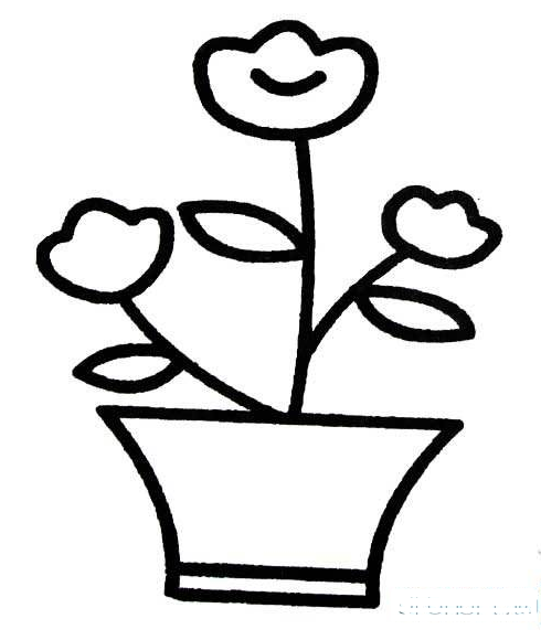 一盆花怎么画简笔画图片