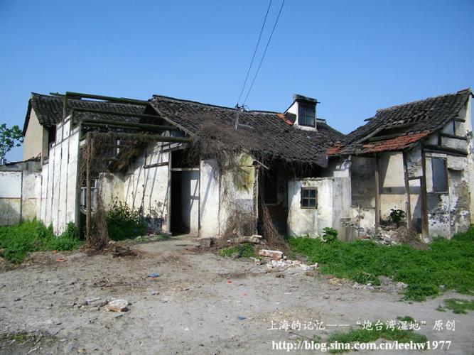 探寻金山区亭林镇亭林老街1