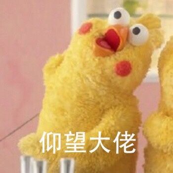 仰望大佬 - 鹦鹉兄弟仰望系列_鹦鹉兄弟_小黄鸡_仰望