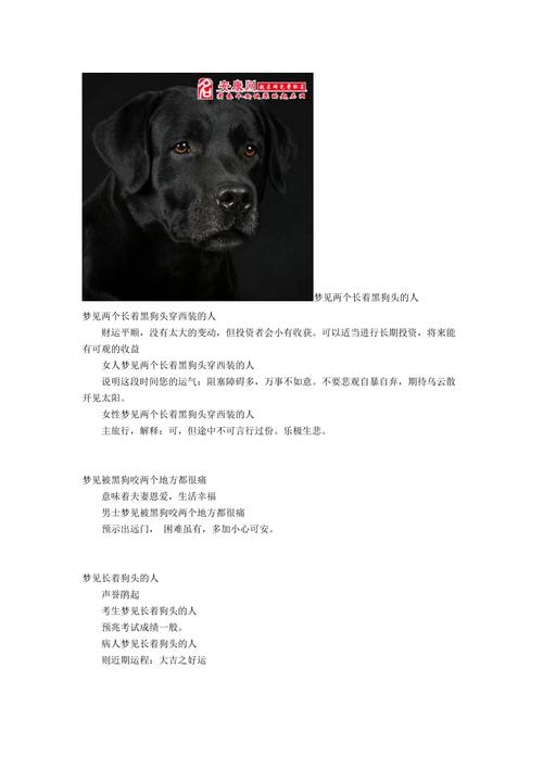 梦见两个长着黑狗头的人什么意思-梦见两个长着黑狗头