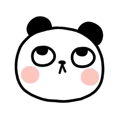 小熊翻白眼萌图头像