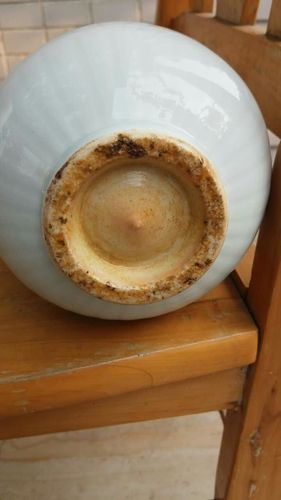 我的最爱·元代枢密院【卵白釉枢府瓷】真品借鉴