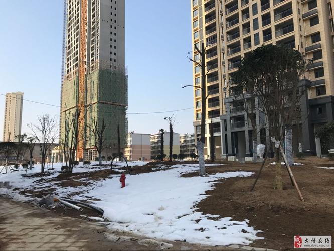大悟新天地