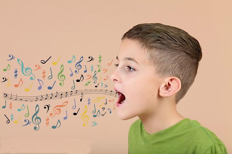 美妙嗓音的产生(图片来源自网络)