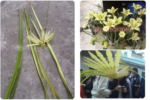 棕编教程 草编小动物 街头棕编 棕编玩具 棕叶编织