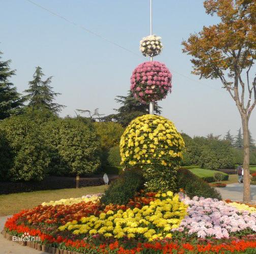 上海大学菊文化节