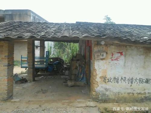 广东高州市大井镇大座山村,梁标家90年代的瓦房