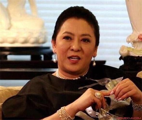 向华强老婆陈岚背景介绍 为什么现在都是陈岚露脸而不见向华强
