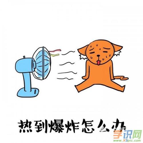关于天气热的搞笑说说_关于夏天热的搞笑句子_天气好