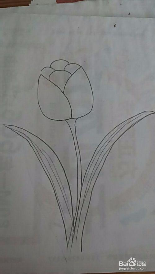 多妈简笔画一朵花