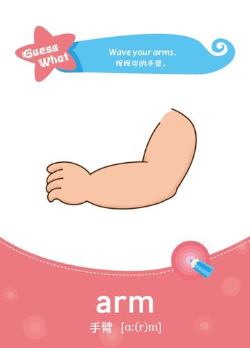 挥挥你的手臂. can you wave your arms? 你能挥挥直臂吗?
