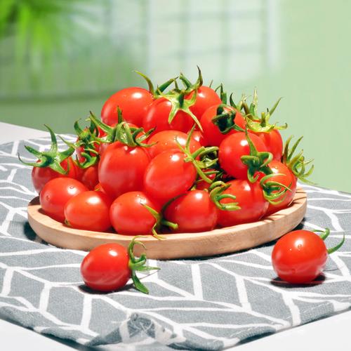 廉心小番茄当季孕妇水果小玲珑釜山圣女果新鲜现摘四斤你迷西红柿