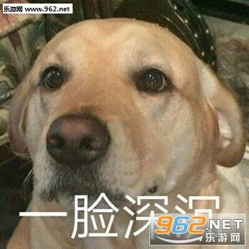 确认过眼神是不想理的人表情包