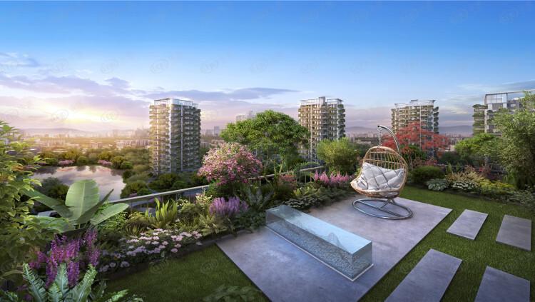 圆中·润达丰滨江郦城效果图