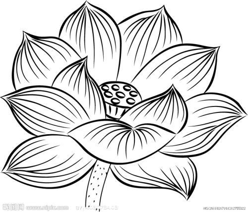 莲花简笔画黑白