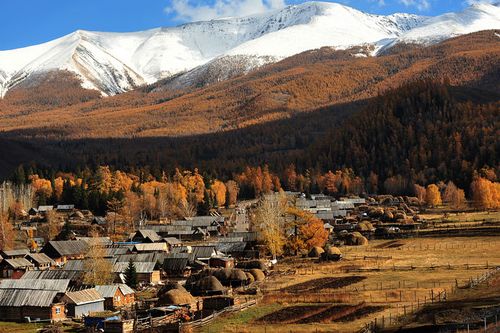 喀纳斯,白哈巴村