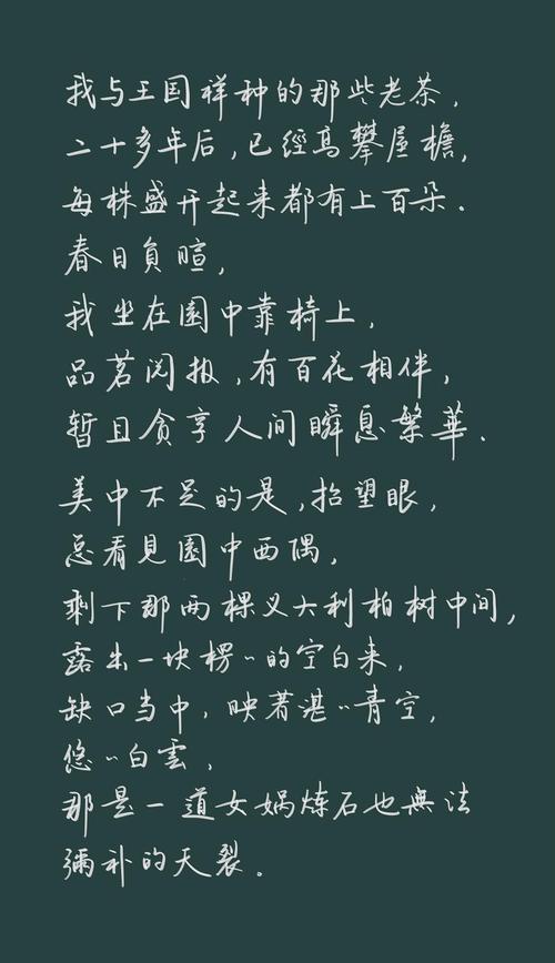 ipad抄 白先勇《树犹如此》尾声