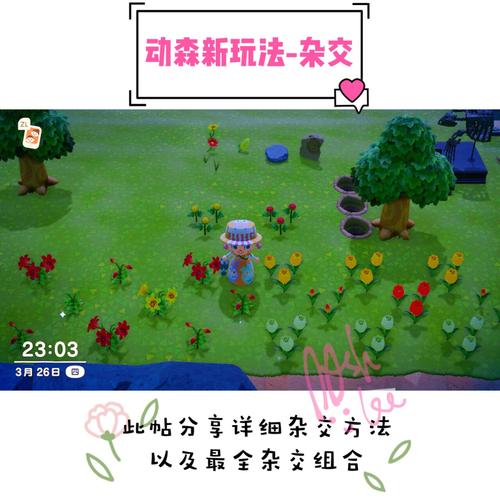 动物森友会~杂交花94的玩法最详细介绍_花卉_游戏