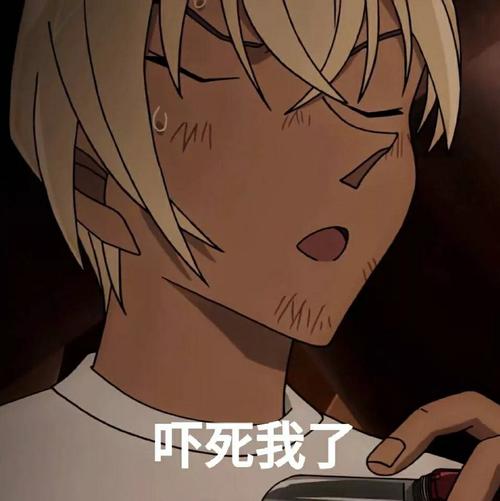 安室透表情包一套鸭