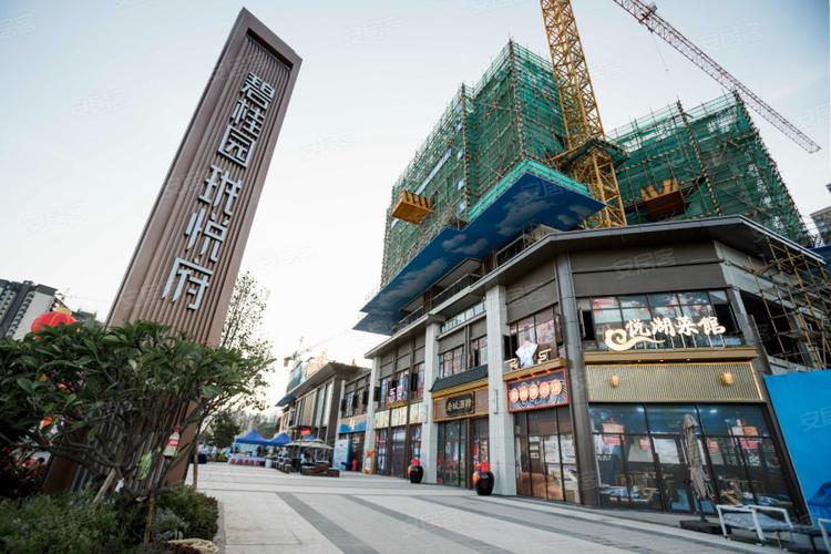 市区户户朝南中式园林阔宅--碧桂园珑悦府