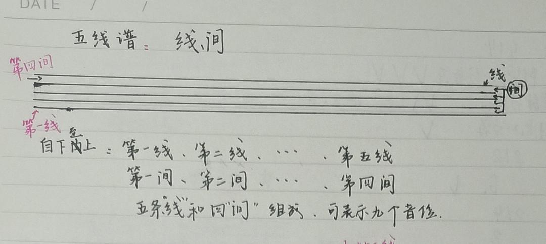 个人乐理repo2五线谱线间谱号谱表