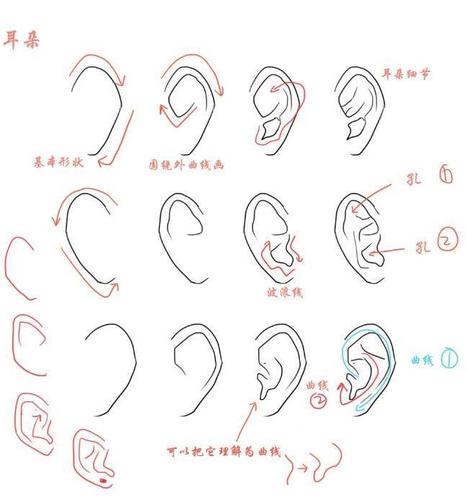 动漫人物耳朵如何画?动画角色耳朵的画法