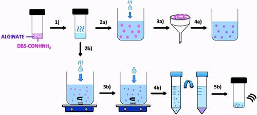 约克大学《化学·科学》自组装的低分子量胶凝剂注射用微凝胶珠