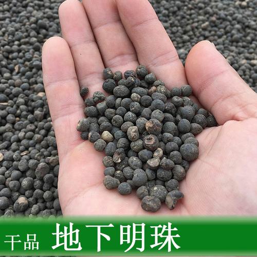 一折一粒金丹_野生地下明珠 落地珍珠 一粒金丹 陈伤子 茅膏菜根10克