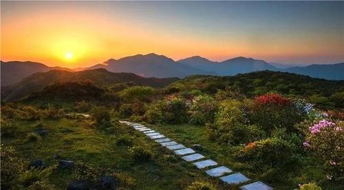 赣州石城八卦脑门票