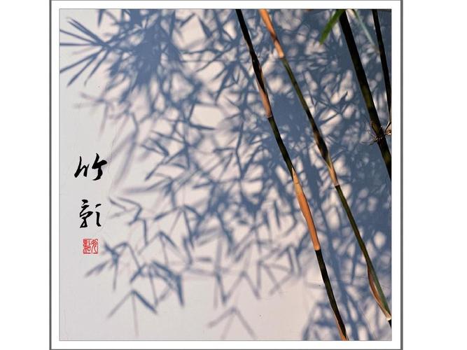 [七年级下][18《竹影》][丰子恺]ppt