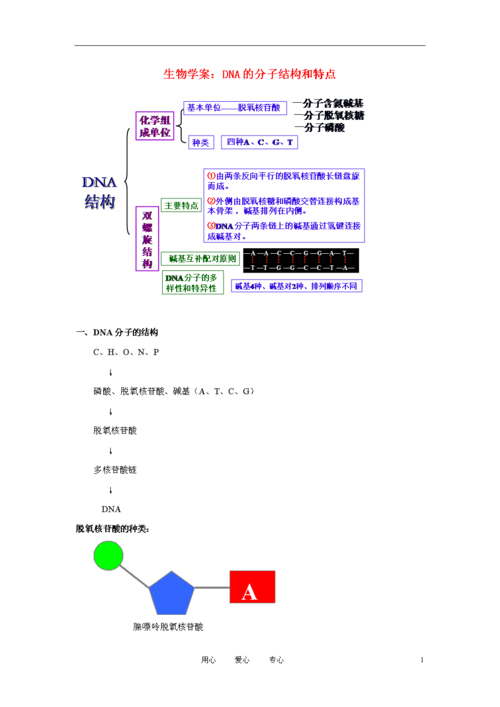 高中生物《dna的分子结构和特点》学案1 浙教版必修2.