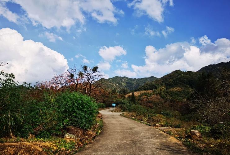 从化吕田桂峰村.
