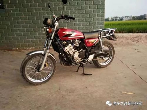 神车cg款水冷4缸万转最新款--广西横县车友投稿