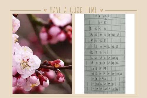 舒智威同学整理的现代诗人羽殇的《半里桃花》!