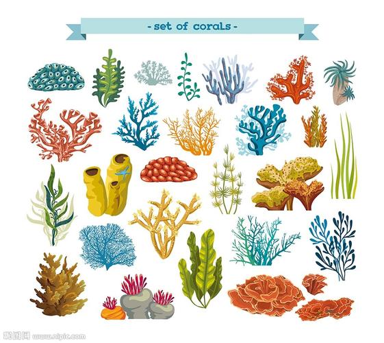 手绘海洋海草矢量素材设计图__卡通设计_广告设计__昵