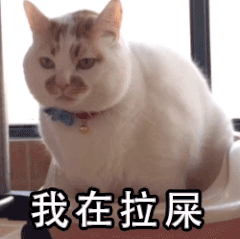 我在拉屎(猫咪表情包)_猫咪_拉屎表情