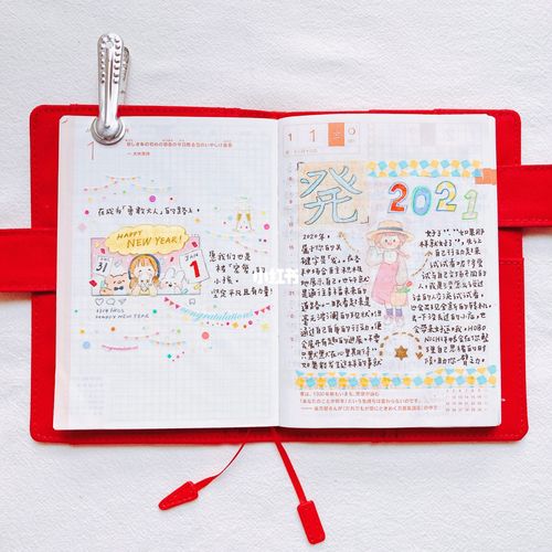 2021手帐(一)_手帐_hobonichi怎么样_兴趣爱好_文具手
