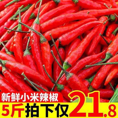 新鲜红辣椒小米椒5斤朝天红线椒指天尖椒剁椒泡椒辣椒