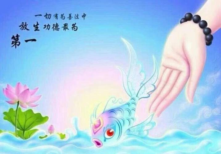 佛陀亲口说过,"一切有为的善法中,救护有情的生命,功德利益最大."