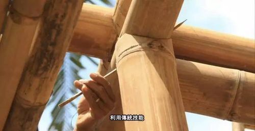 就连竹子的连接处, 也不用任何钢铁结构, 直接用竹钉固定.