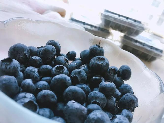 10位体验官吃了加拿大蓝莓后表示:蓝莓为什么不是酸的?