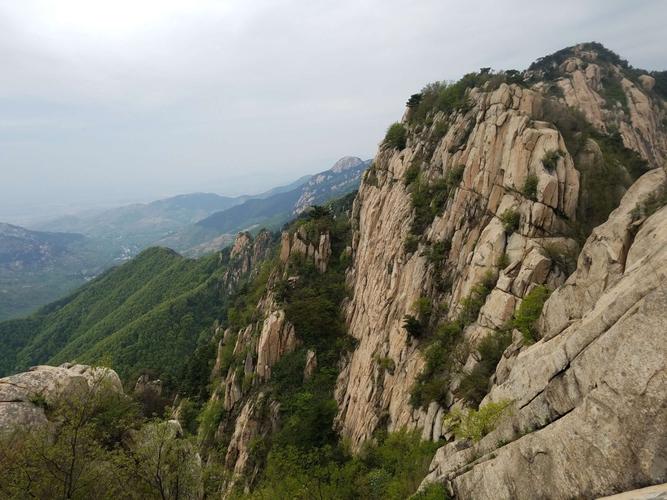 巉岩峭壁点点绿