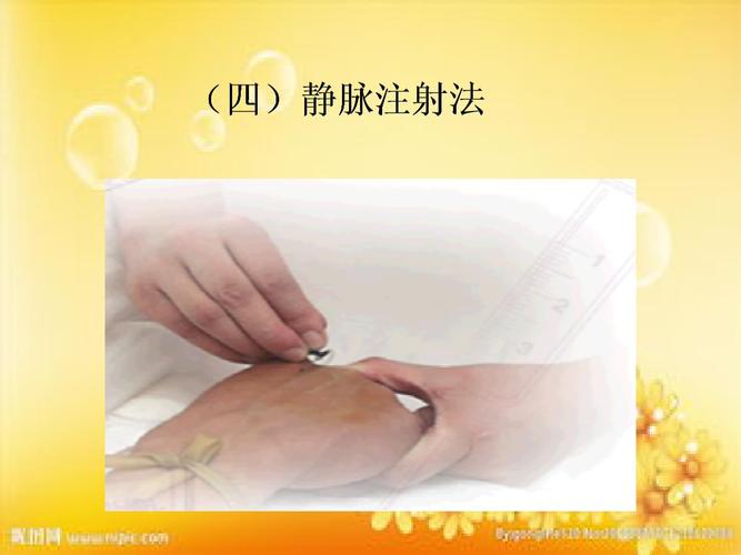静脉,动脉注射.ppt